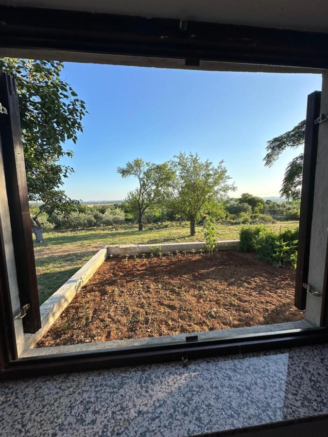 Relax And Unwind: Family-Friendly House Near Zadar In Zagrad Villa Buitenkant foto
